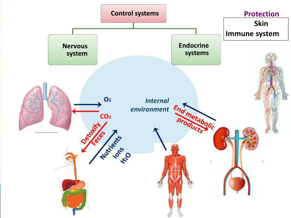 control systems