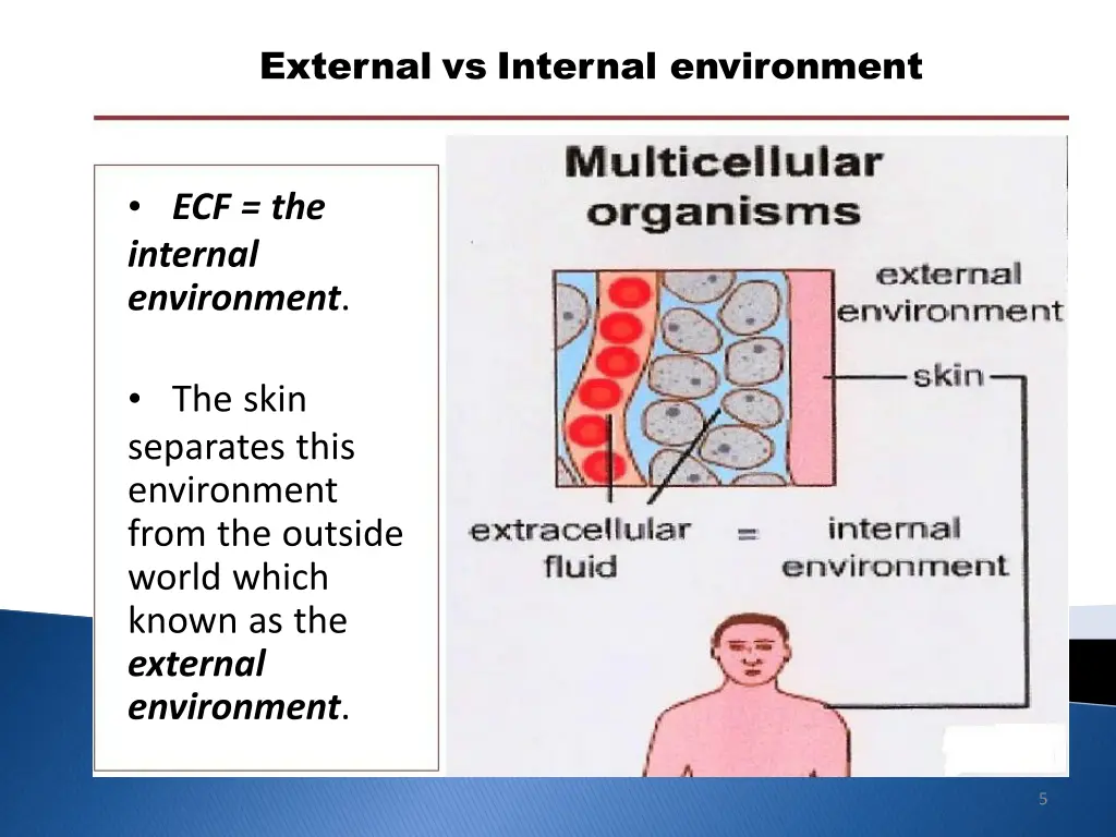 external vs internal environment 1