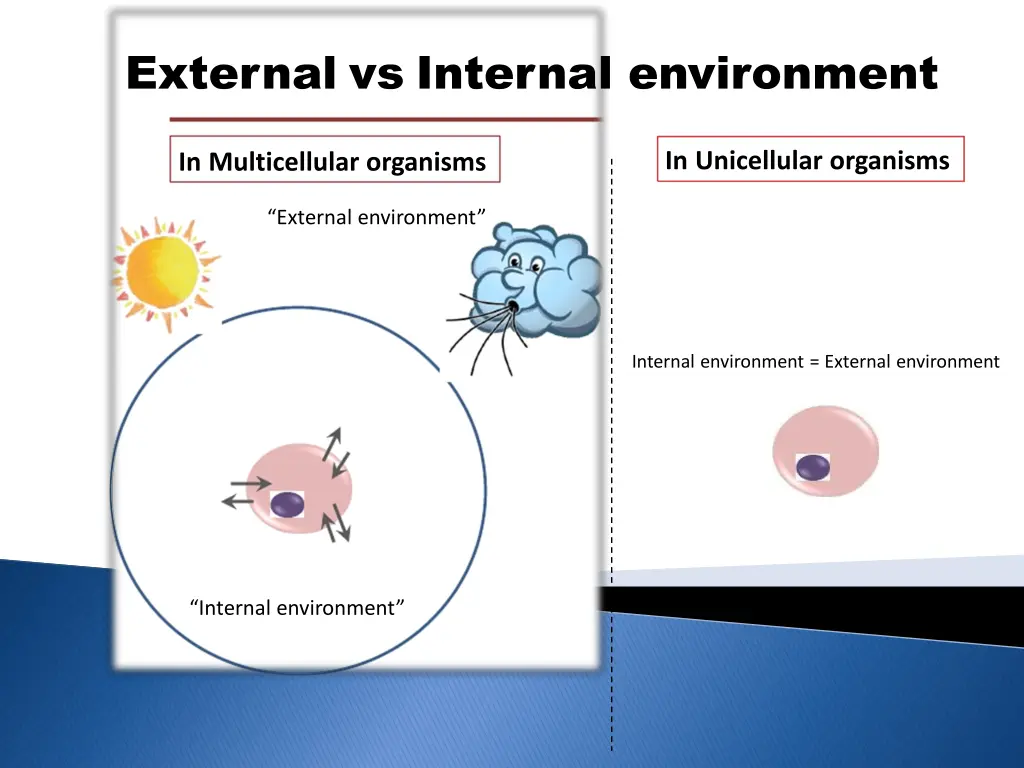 external vs internal environment