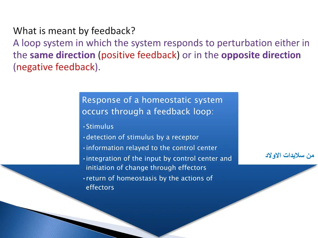 response of a homeostatic system occurs through