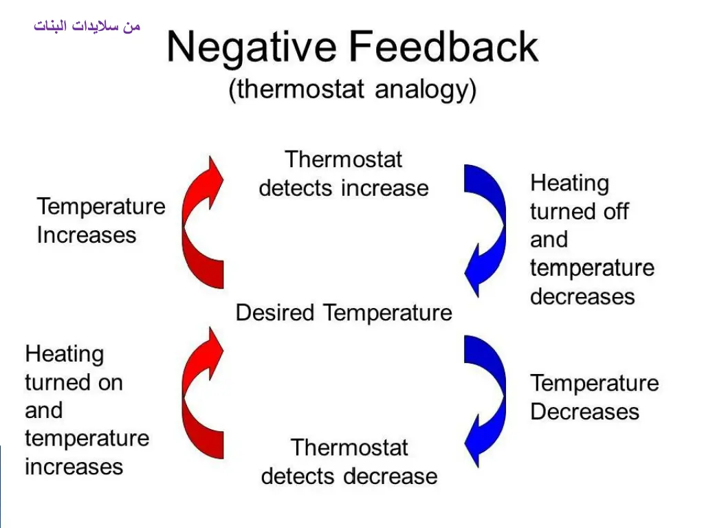 slide21