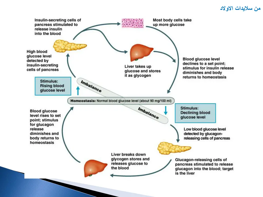 slide27