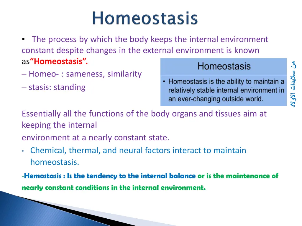 the process by which the body keeps the internal