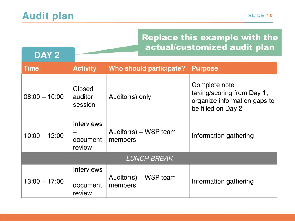 audit plan 1