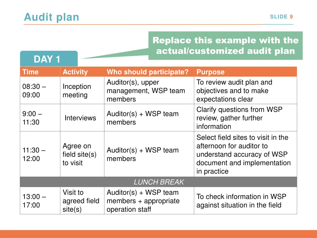 audit plan