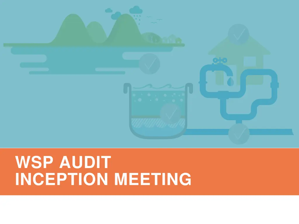 wsp audit inception meeting