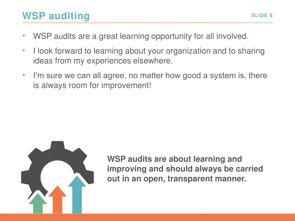 wsp auditing 1