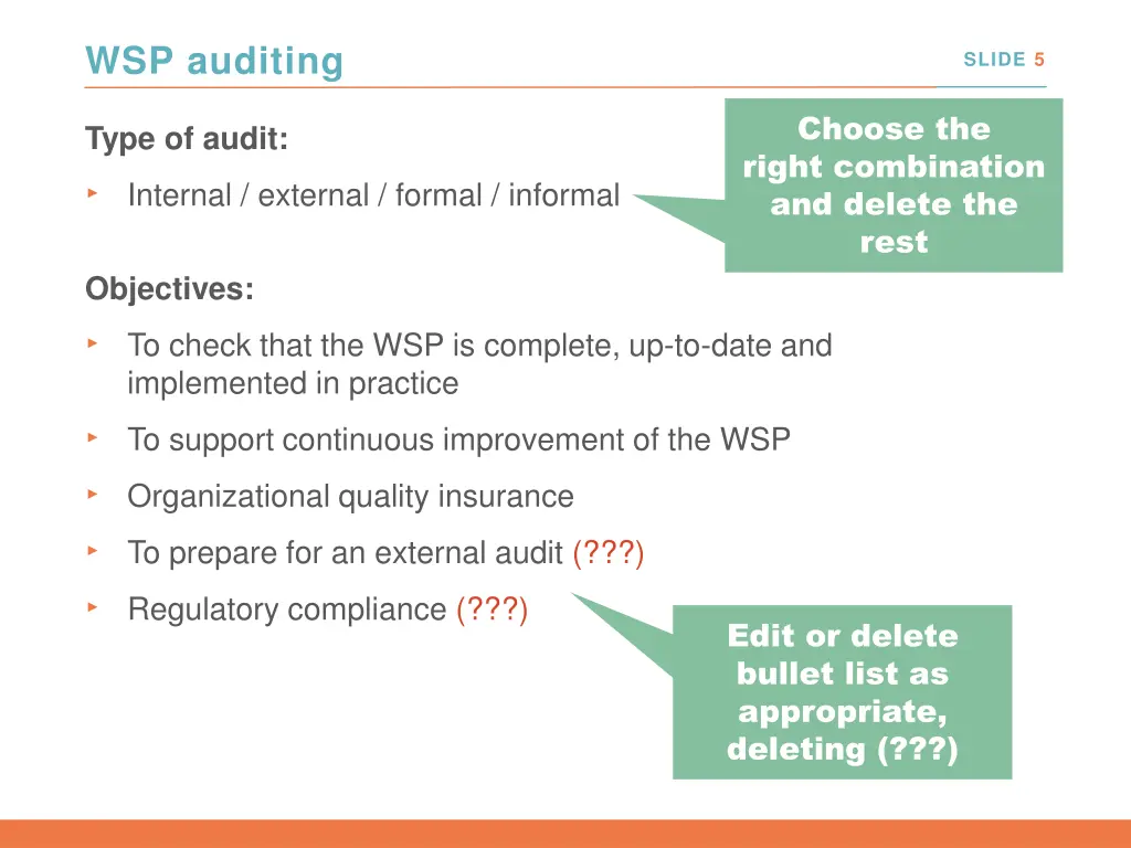 wsp auditing