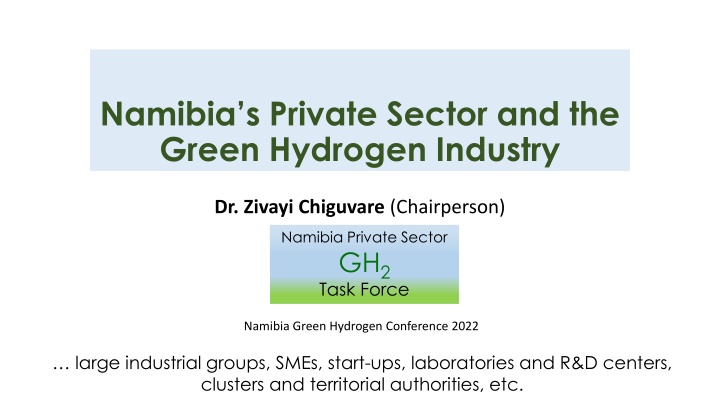 namibia s private sector and the green hydrogen