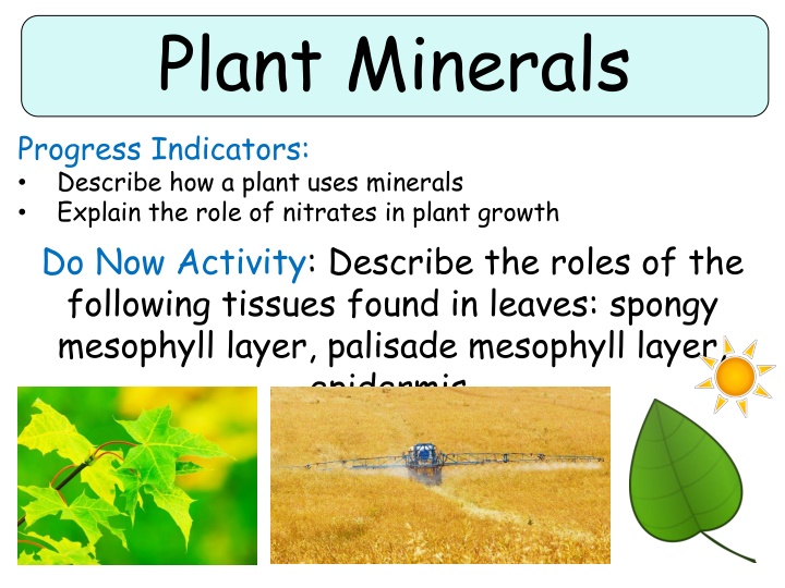 plant minerals progress indicators describe