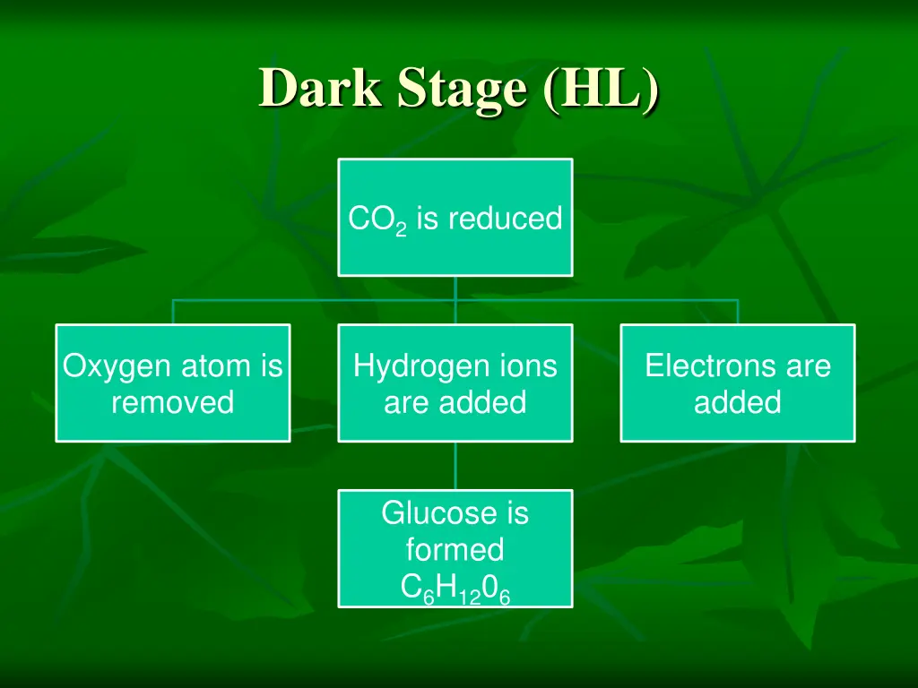 dark stage hl 4