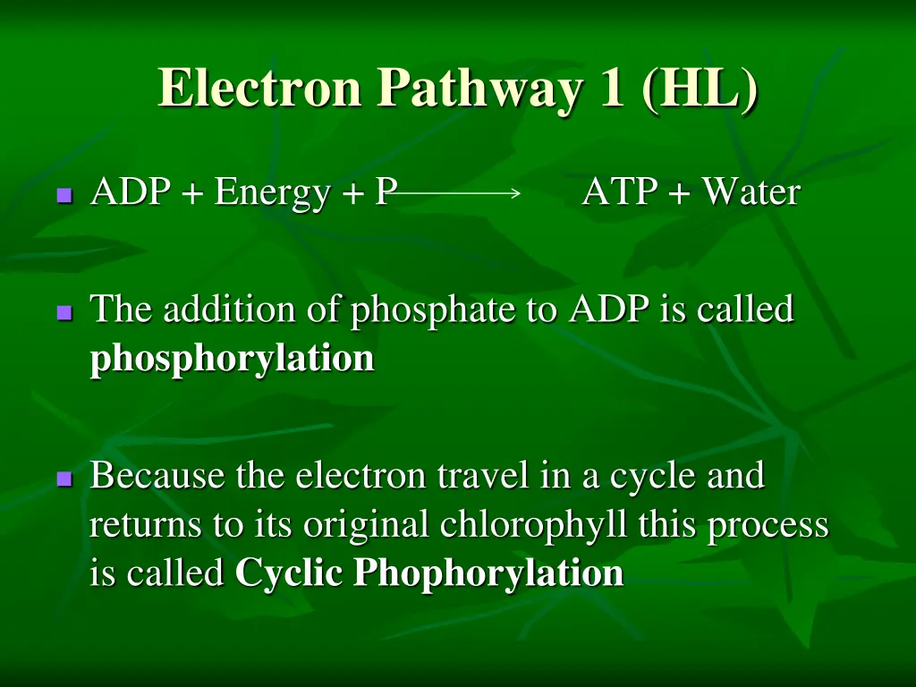 electron pathway 1 hl