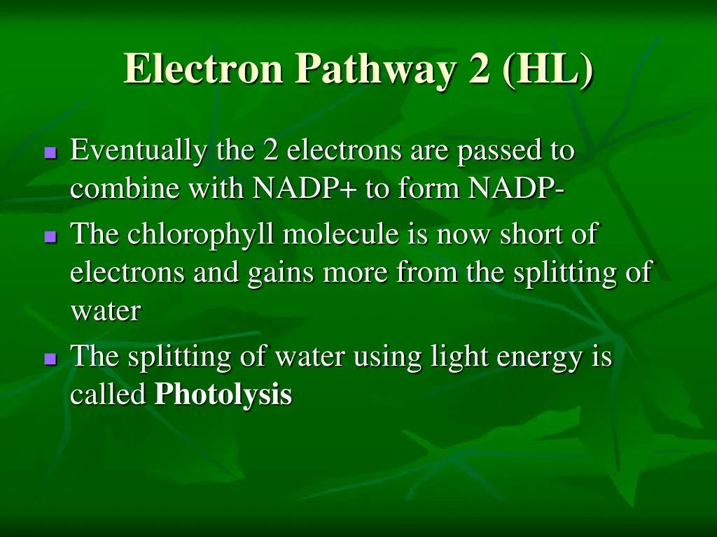 electron pathway 2 hl 1