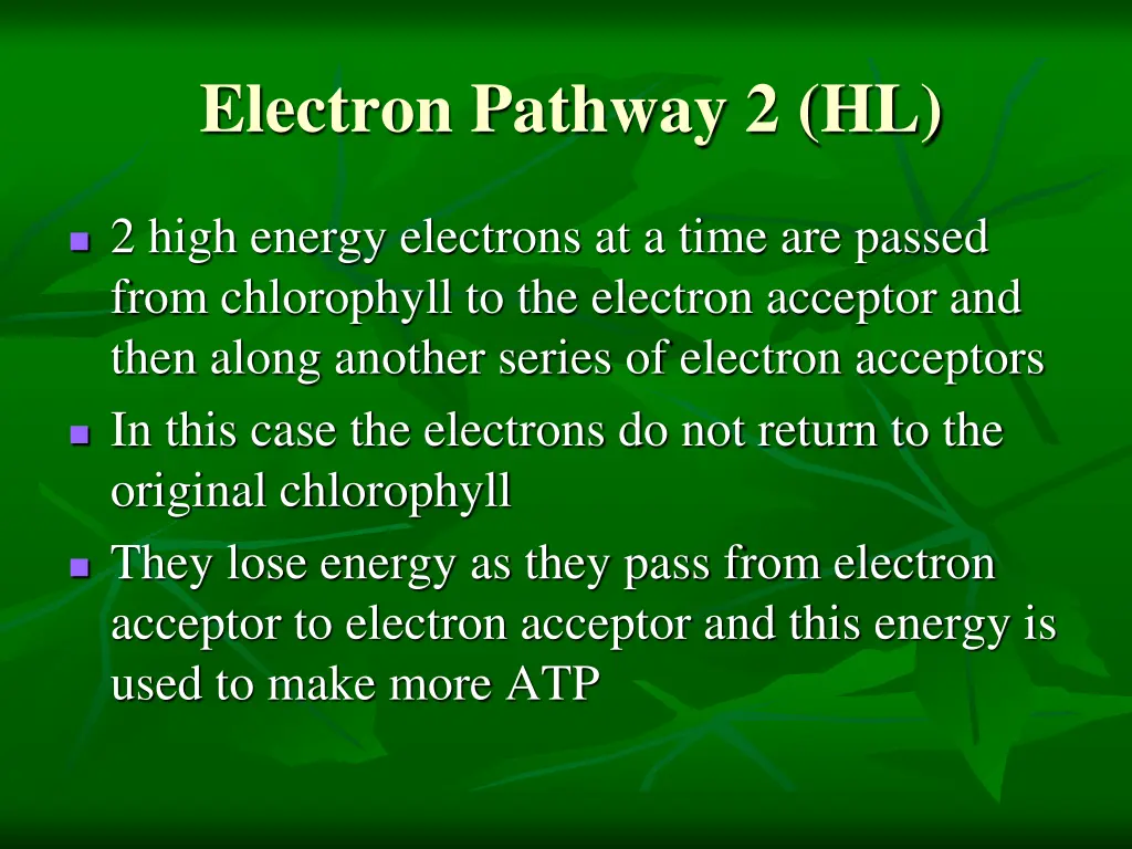 electron pathway 2 hl