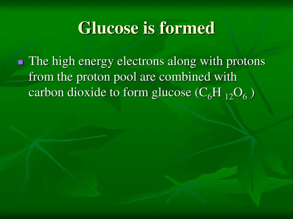 glucose is formed