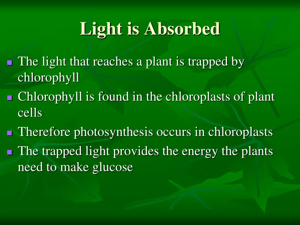 light is absorbed