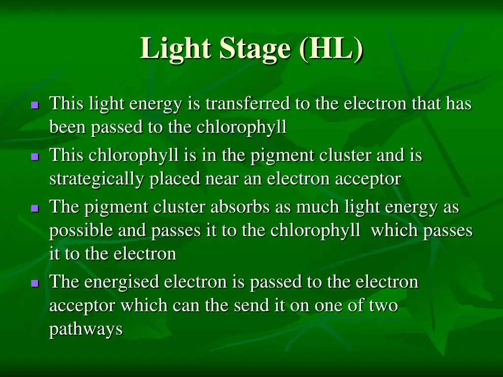 light stage hl 1