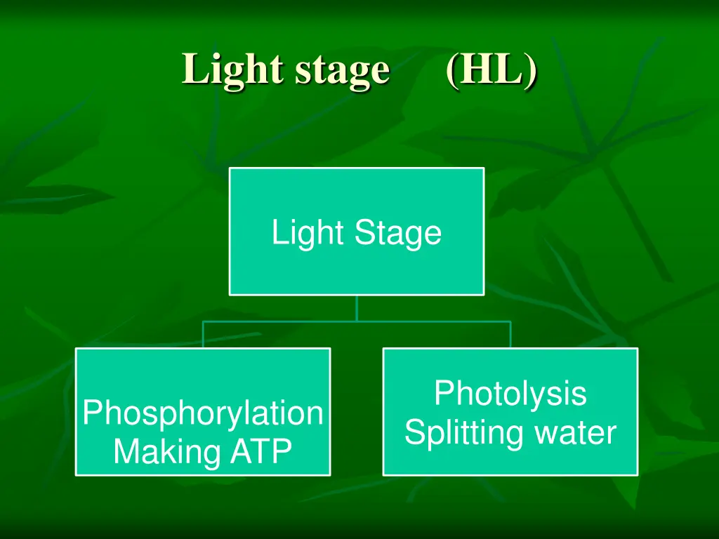 light stage hl 2