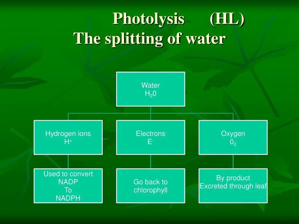 photolysis hl the splitting of water