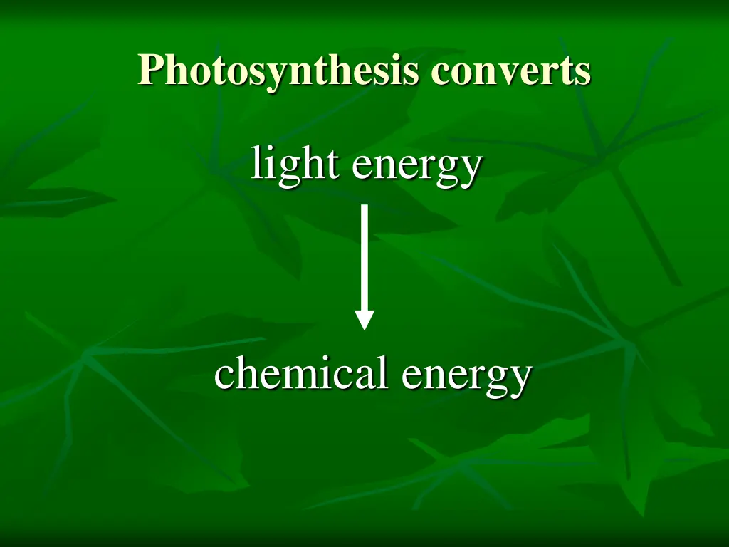 photosynthesis converts