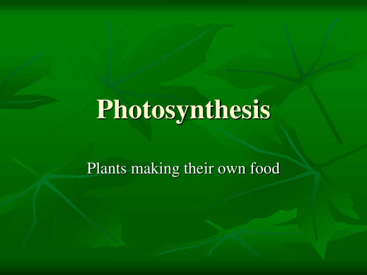 photosynthesis