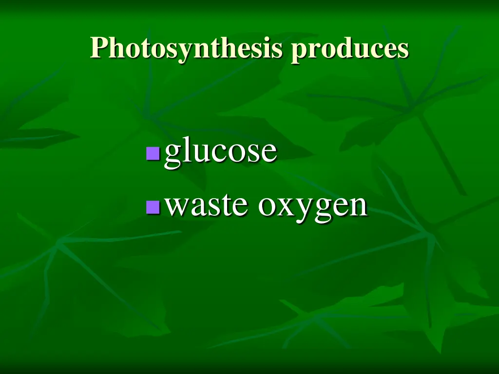 photosynthesis produces