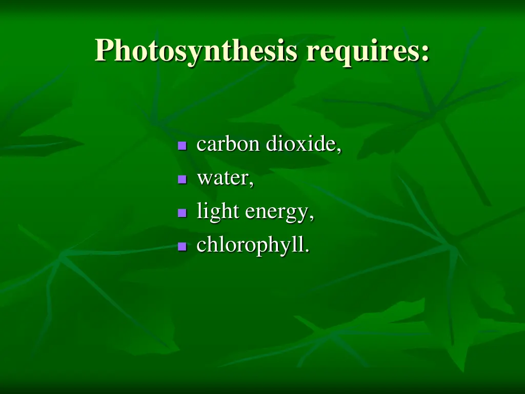 photosynthesis requires