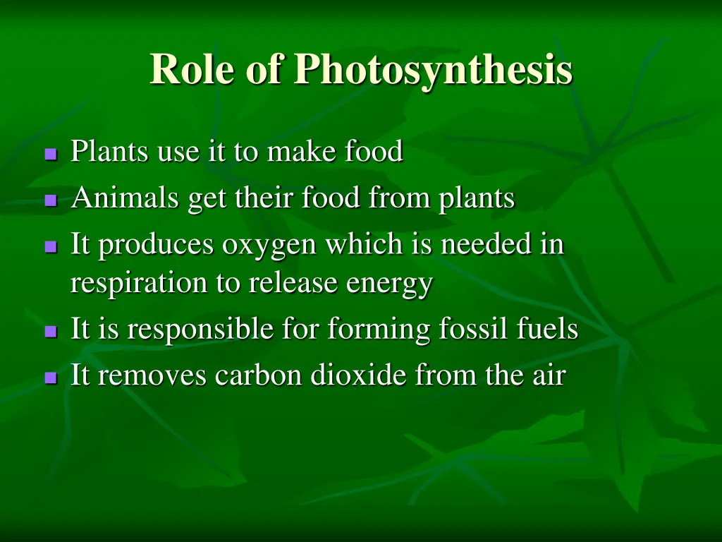 role of photosynthesis