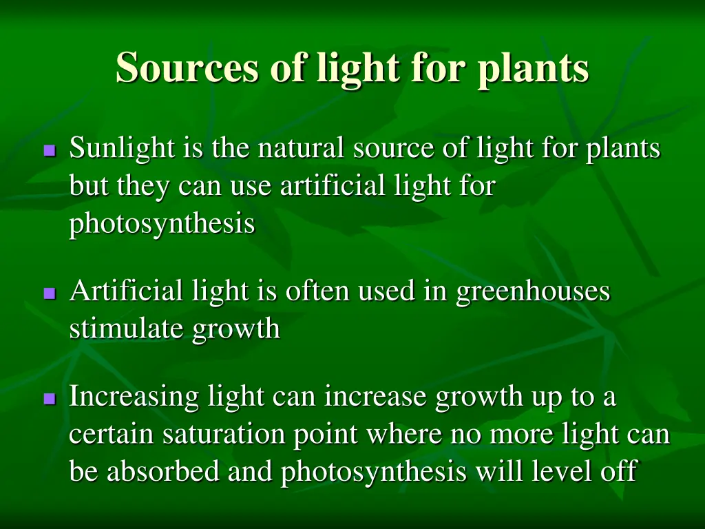 sources of light for plants