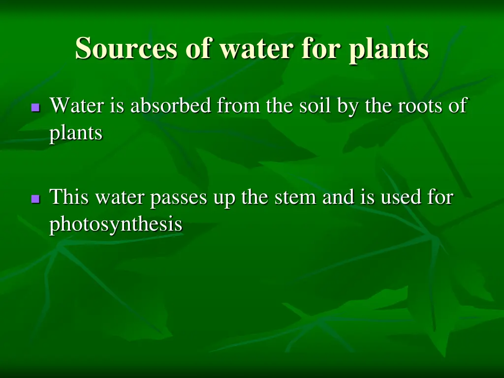 sources of water for plants