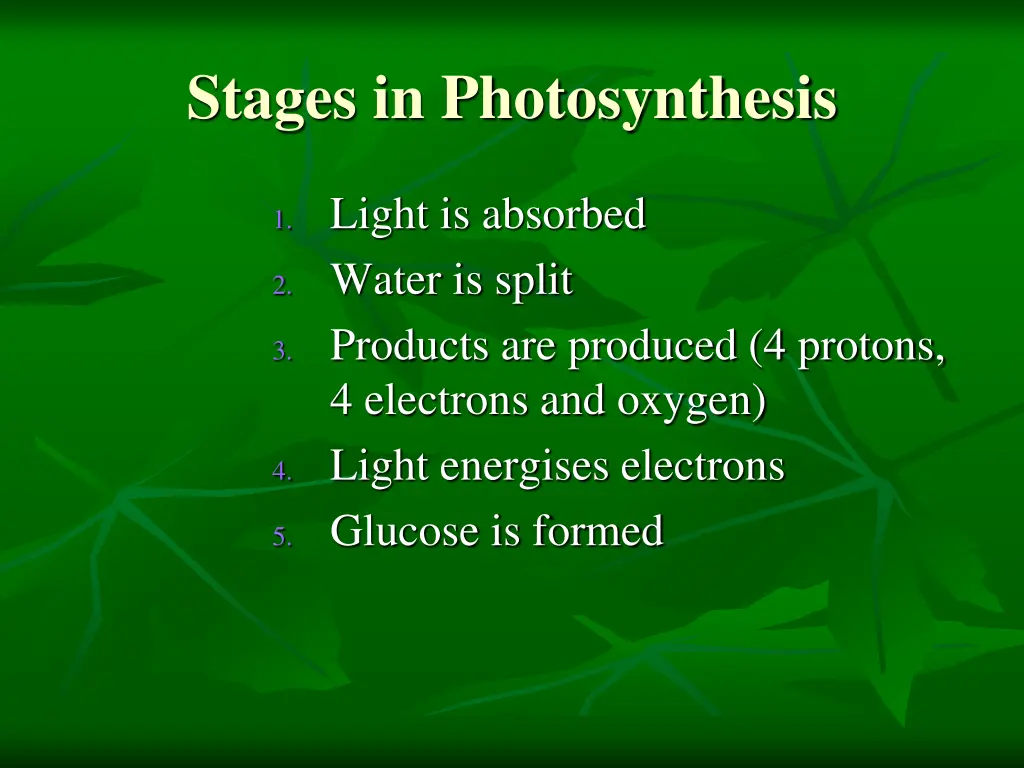 stages in photosynthesis