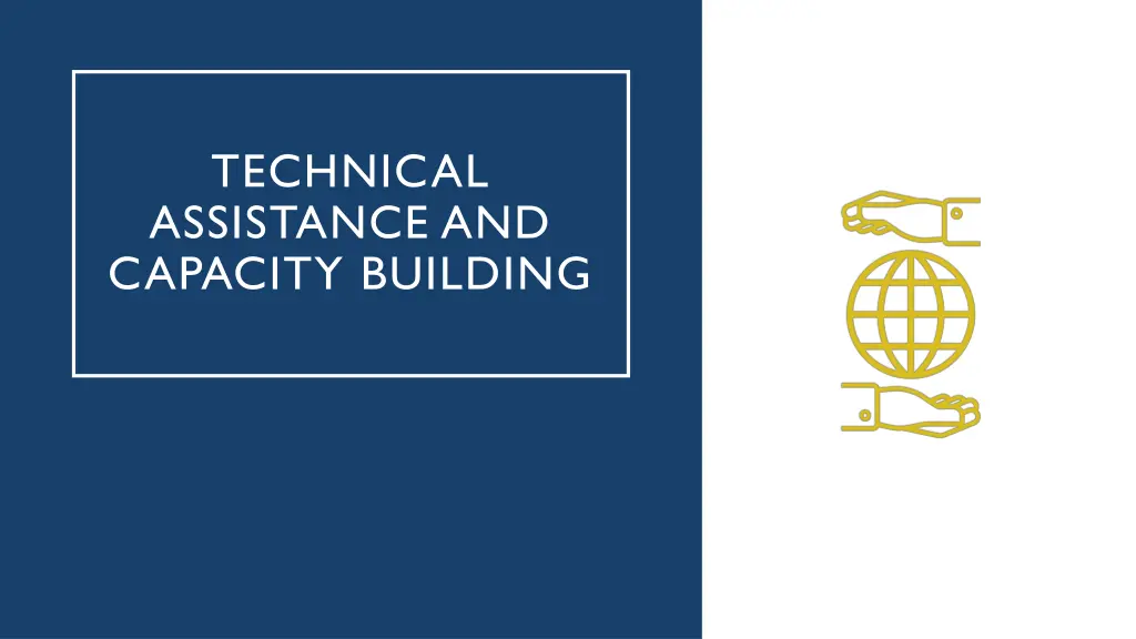 technical assistance and capacity building