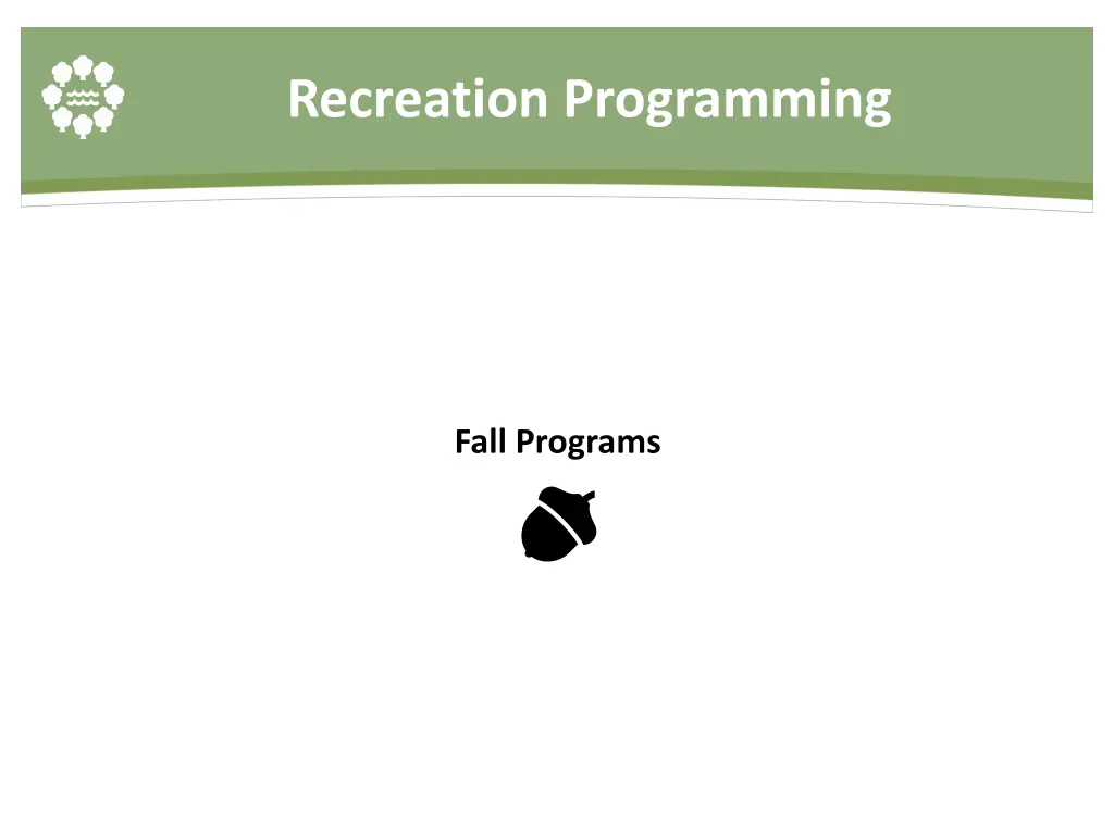 recreation programming 1