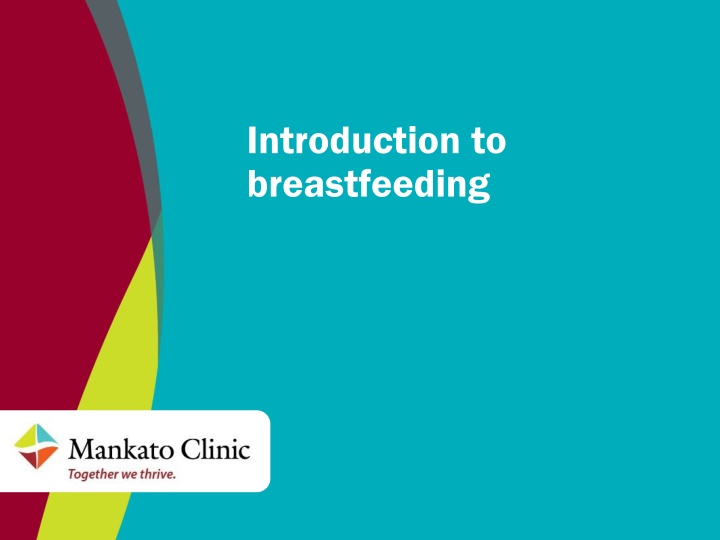 introduction to breastfeeding