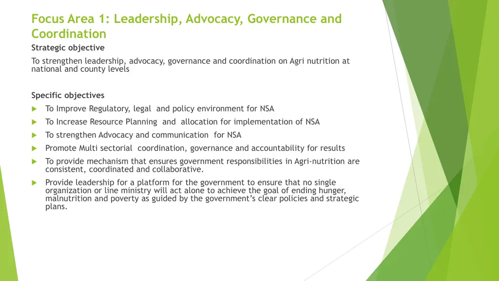 focus area 1 leadership advocacy governance