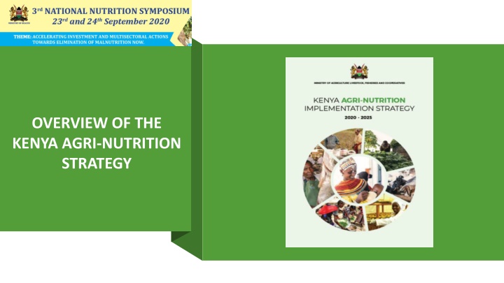 overview of the kenya agri nutrition strategy