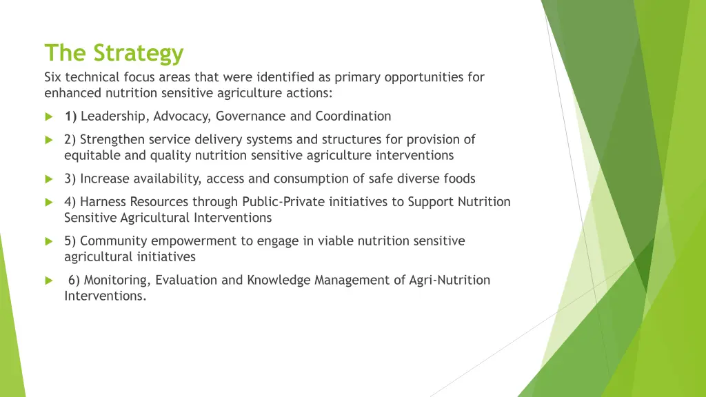 the strategy six technical focus areas that were