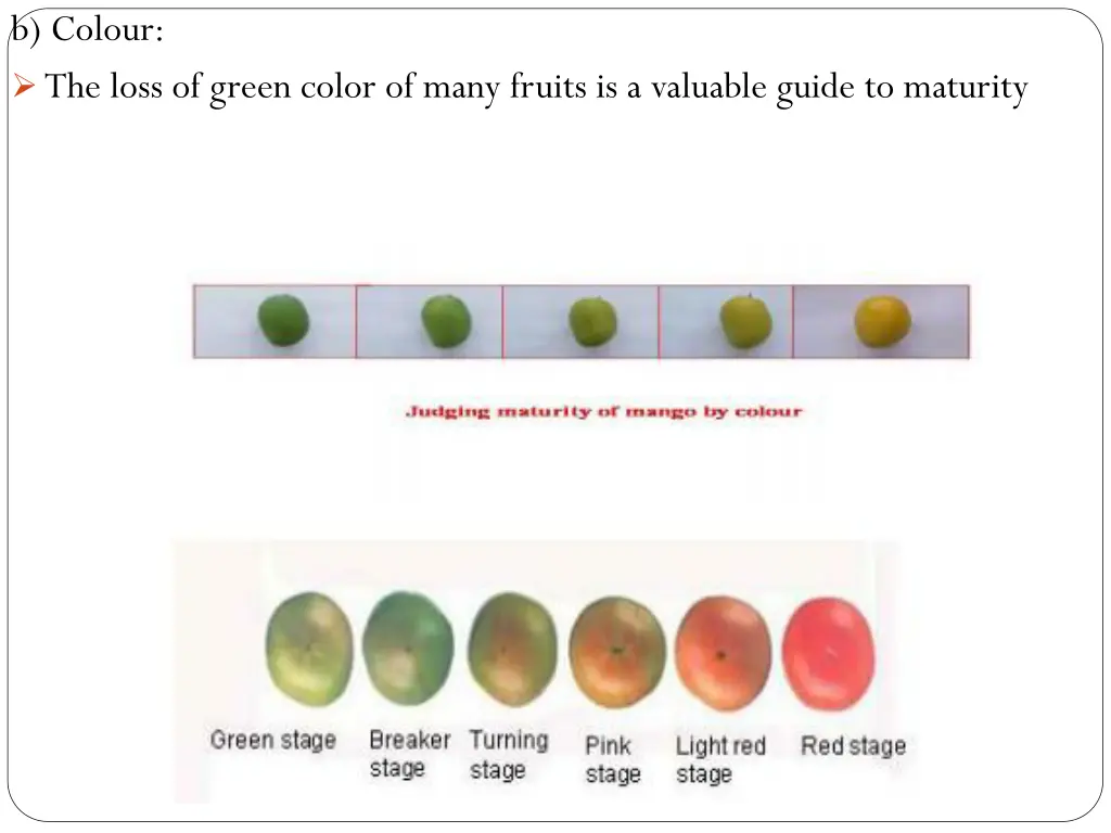 b colour the loss of green color of many fruits