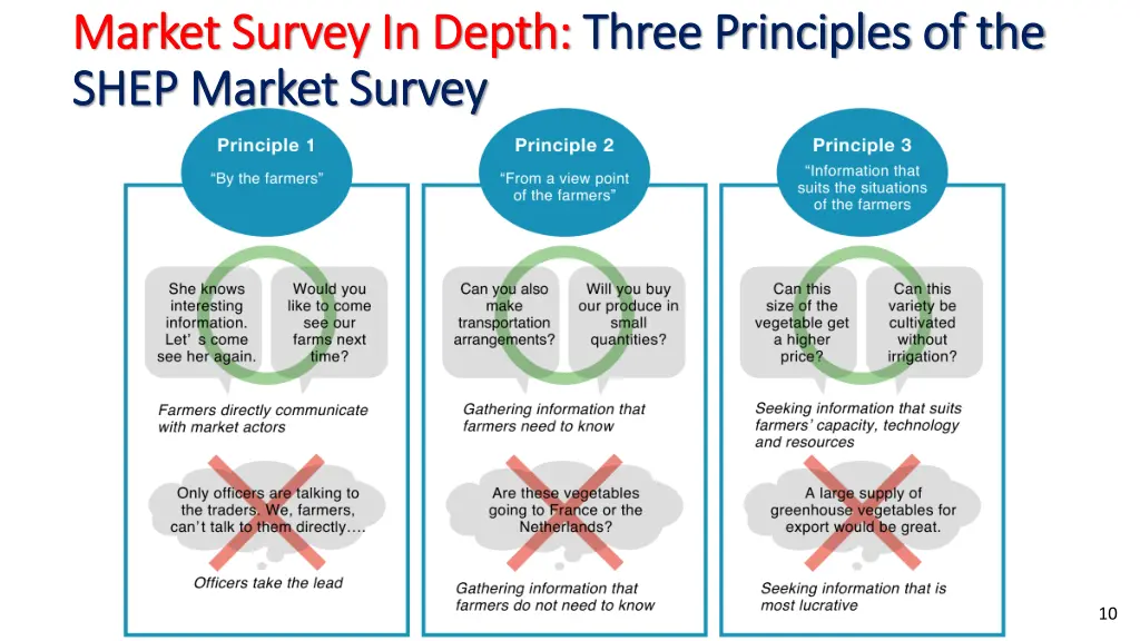 market survey in depth market survey in depth 1