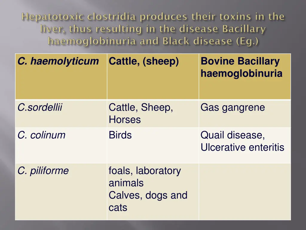 c haemolyticum