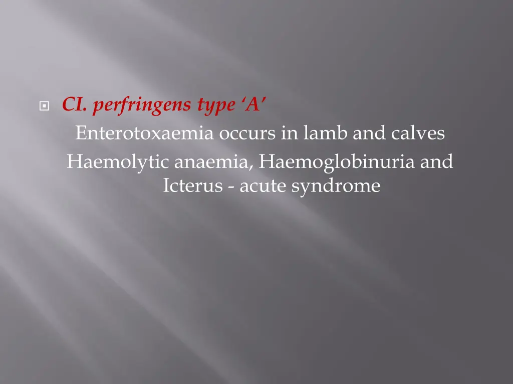 ci perfringens type a enterotoxaemia occurs