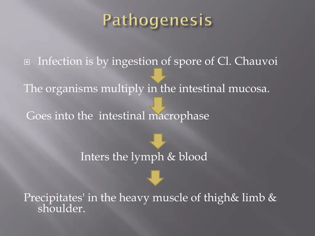 infection is by ingestion of spore of cl chauvoi