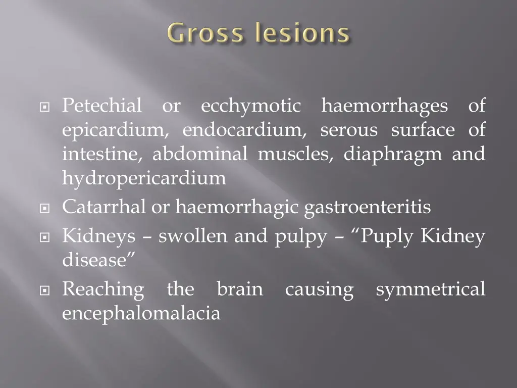 petechial or ecchymotic haemorrhages