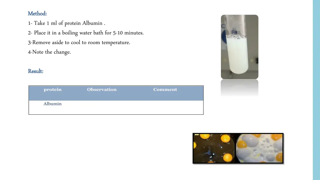 method method 1 take 1 ml of protein albumin