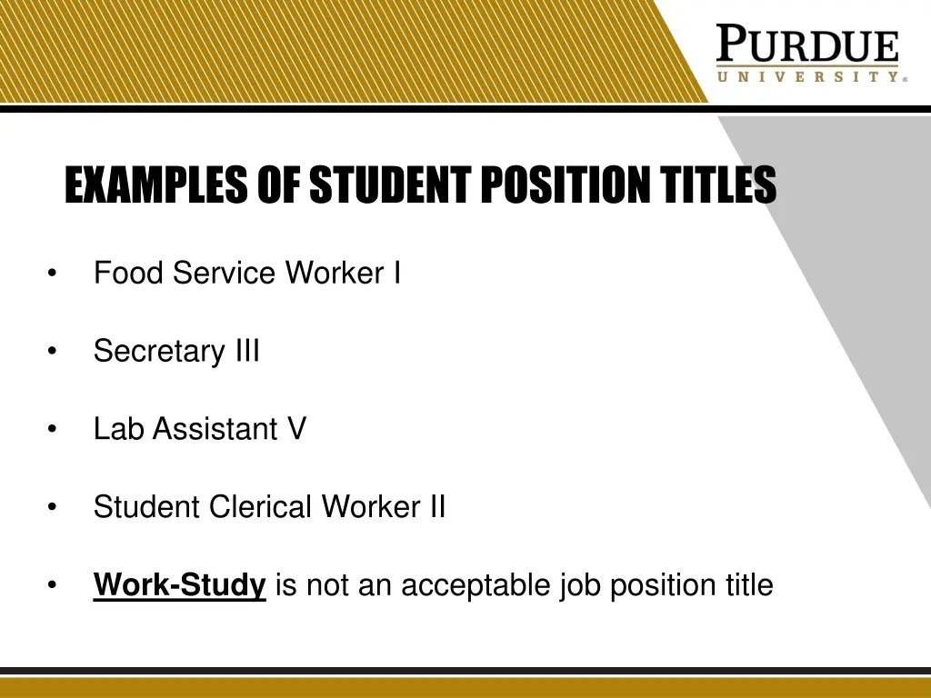 examples of student position titles