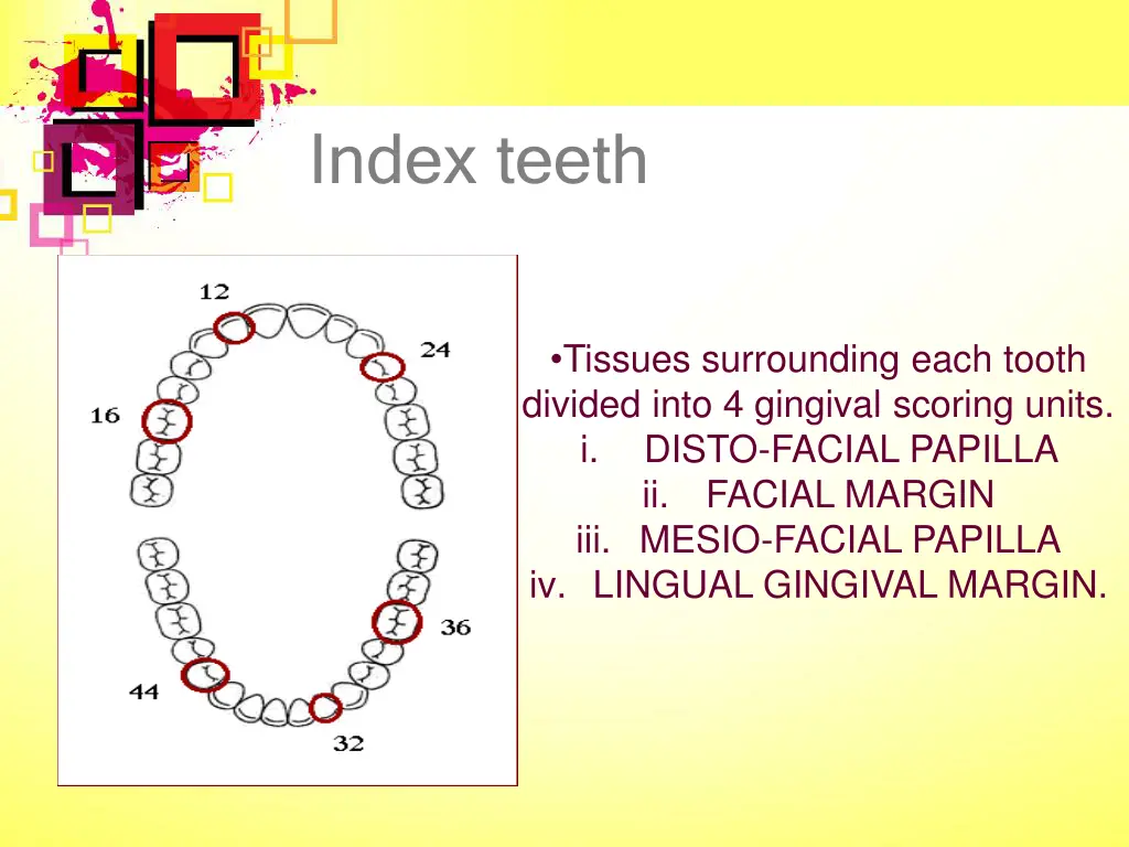 index teeth