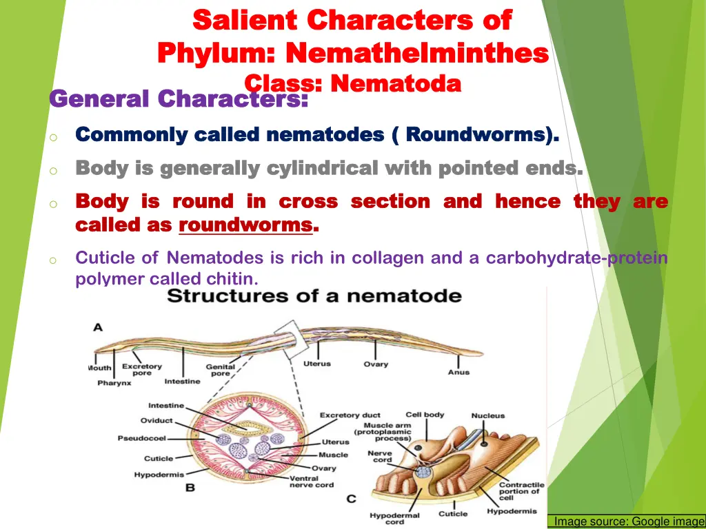 salient characters of salient characters 2