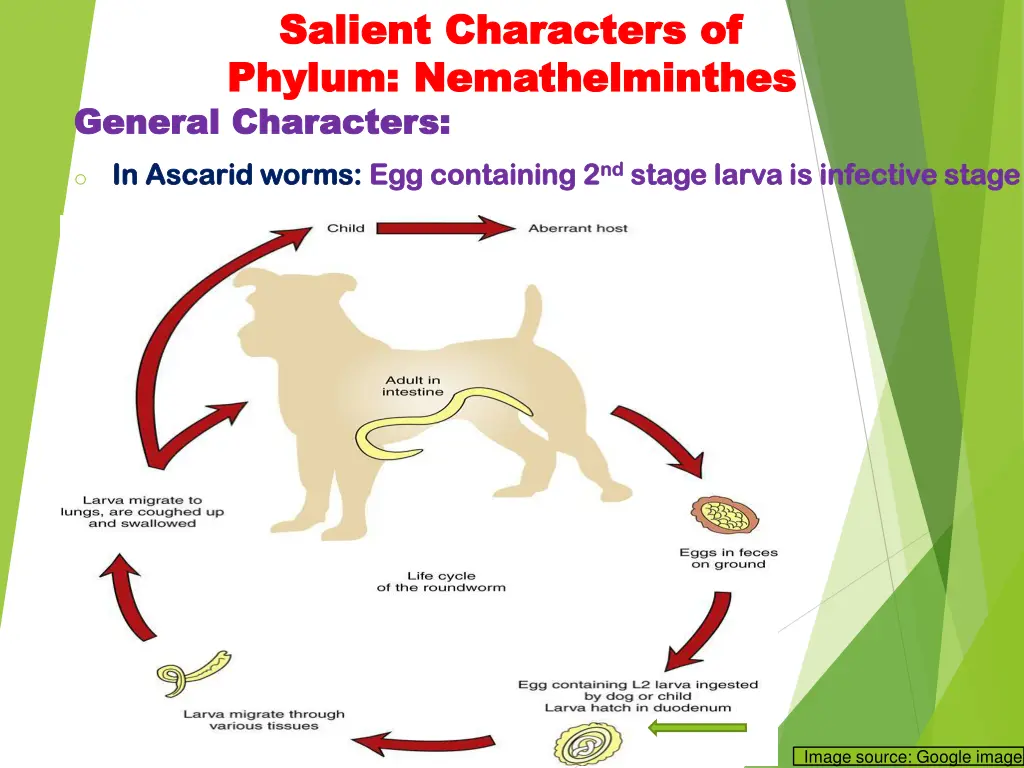 salient characters of salient characters 7