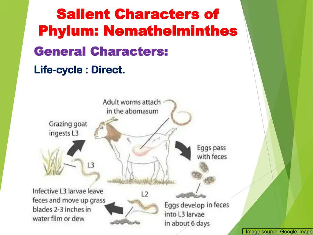 salient characters of salient characters 9