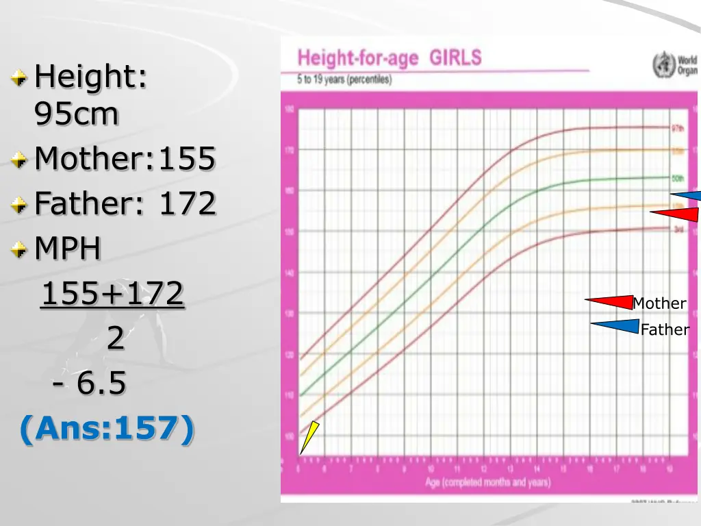 height 95cm mother 155 father